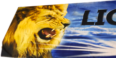 Lion of Judah Roars Billow