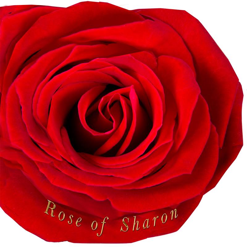 Jesus/Rose of Sharon Worship Wing Flag Set