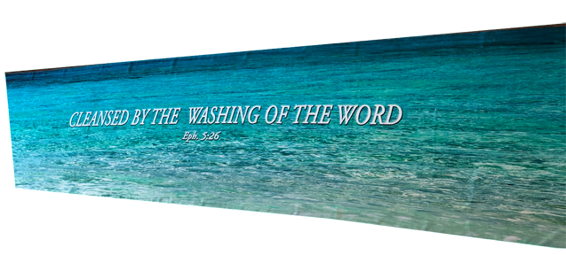 Cleansed by the Washing of the Word Billow