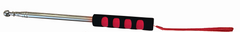 Flag Pole Telescoping Stainless Steel