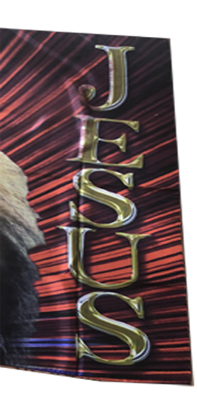 Lion of Judah Red Rays jESUS Font Worship Flag