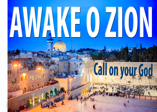 Awake O Zion Worship Flag