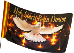 Holy Spirit Rain Down Worship Flag