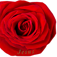 Jesus/Rose of Sharon Worship Wing Flag Set