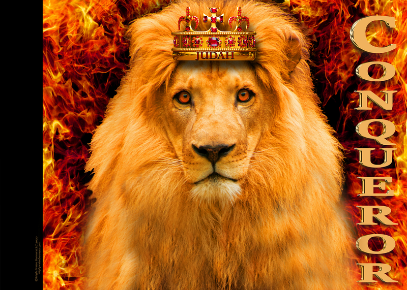 Lion of Judah Conqueror Worship Flag