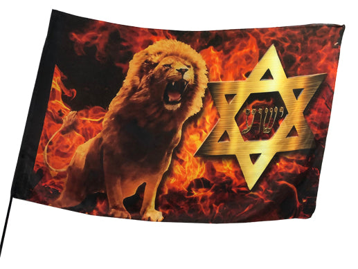 Lion of Judah Fire Star of David Worship Flag