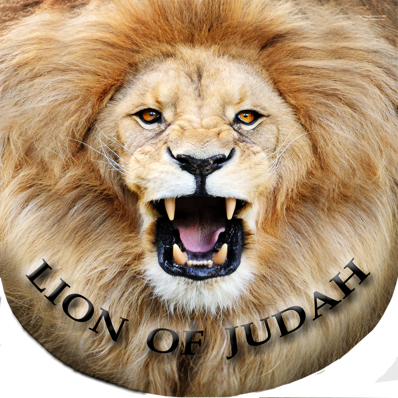 Lion of Judah Worship Wing Flag Set
