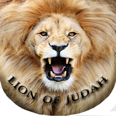 Lion of Judah Worship Wing Flag Set