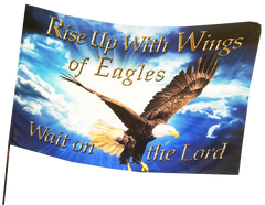 Rise Up With Wings As Eagles Worship Flag